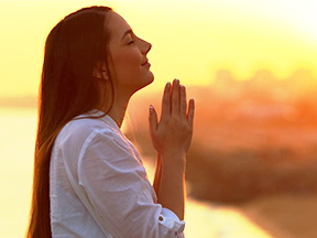 tarot.ideazunlimited.net.olive leaves